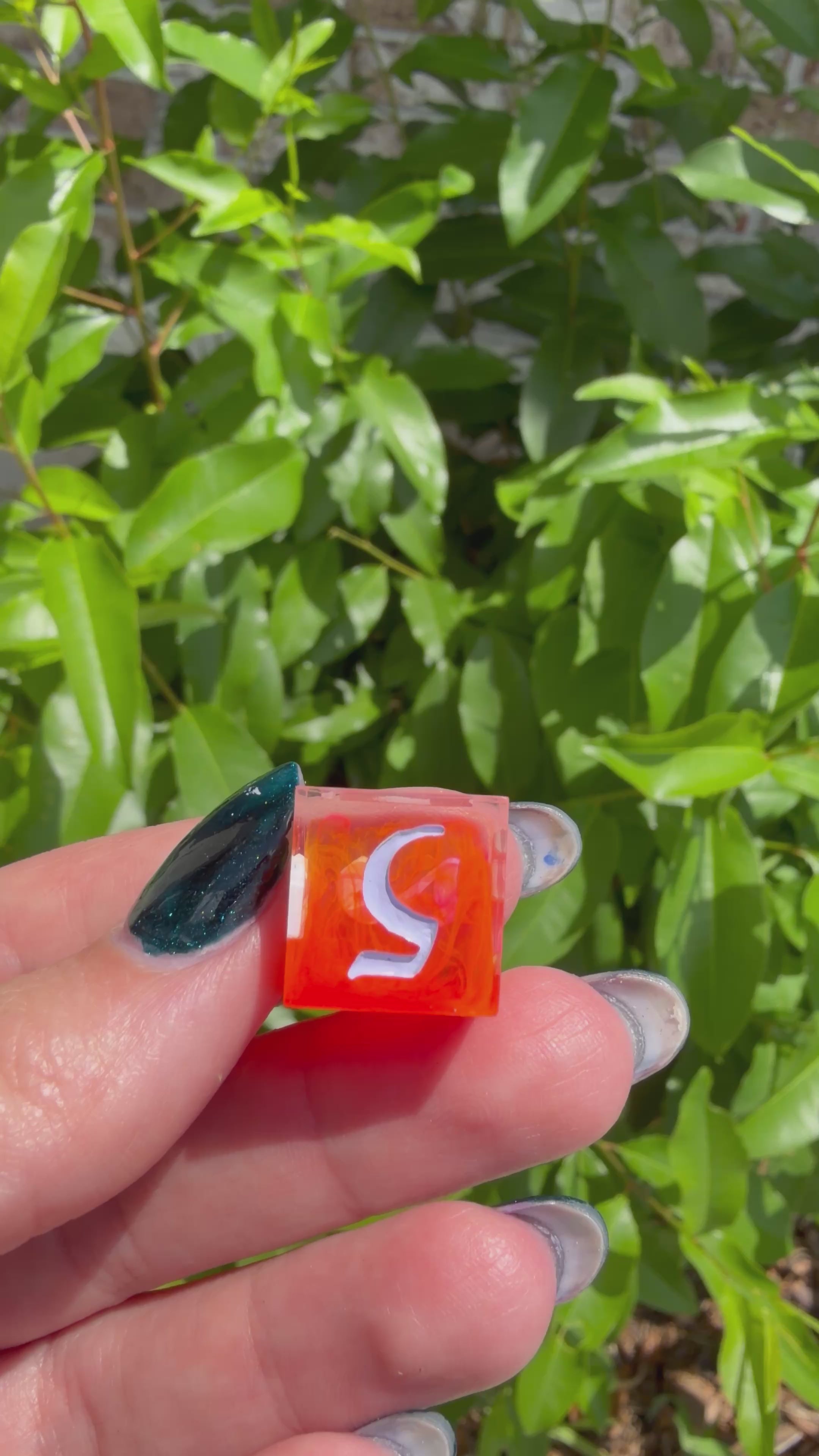 Citrus Sunset - Dice of Destiny